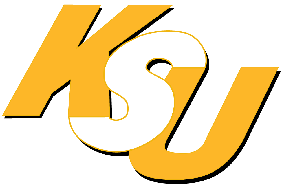 Kennesaw State Owls 0-2011 Wordmark Logo v2 iron on transfers for T-shirts